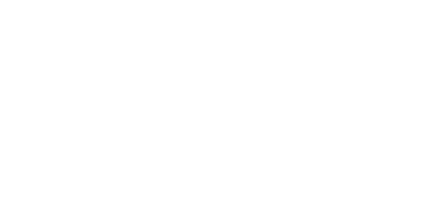 Hybrid Agency